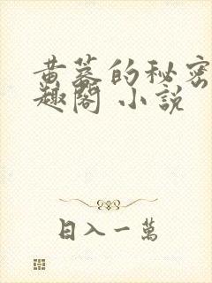 黄蓉的秘密 笔趣阁 小说