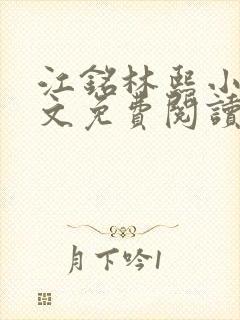 江铭林熙小说全文免费阅读