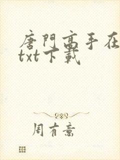 唐门高手在异世txt下载