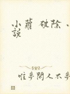 小萝 破除 小说