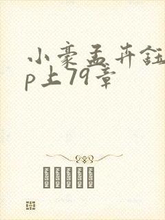 小豪孟卉钰慧三p上79章
