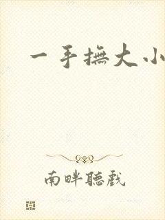 一手抚大小说