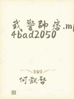 武警帅痞.mp4bad2050