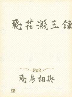 飞花溅玉录