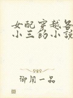 女配穿越各个做小三的小说