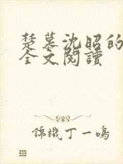 楚慕沈昭的小说全文阅读