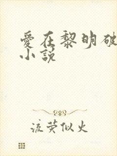 爱在黎明破晓前小说