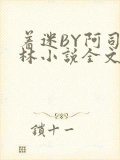 着迷BY阿司匹林小说全文免费阅读