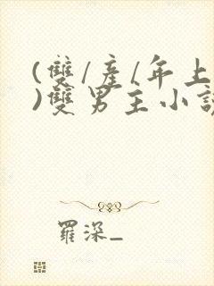 (双/产/年上)双男主小说