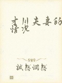 才川夫妻的恋爱情况