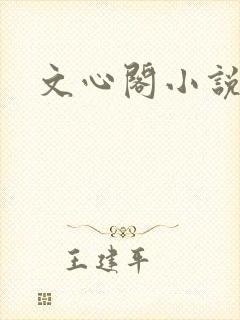 文心阁小说