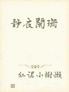 静夜阑珊