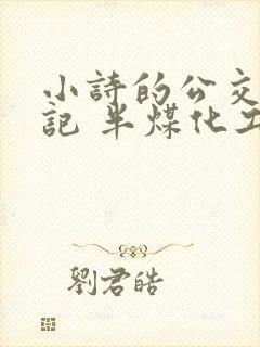 小诗的公交车日记 半煤化工