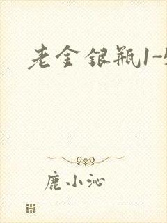 老金银瓶1-5