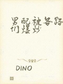 男配被各路大佬们爆炒