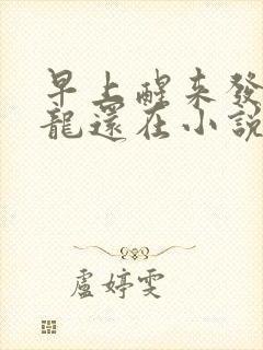 早上醒来发现巨龙还在小说