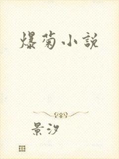 爆菊小说
