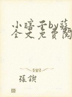 小瞎子by苏软全文免费阅读