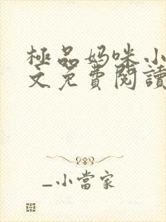 极品妈咪小说全文免费阅读