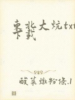 东北大炕txt下载