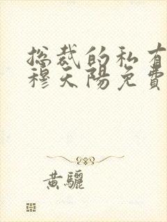 总裁的私有宝贝穆天阳免费