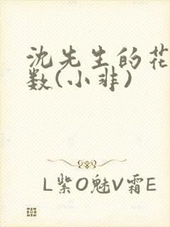 沈先生的花式调数(小非)