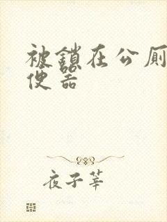 被锁在公厕当坐便器