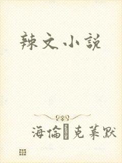 辣文小说