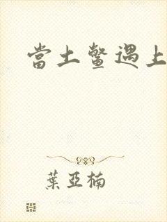 当土鳖遇上海龟