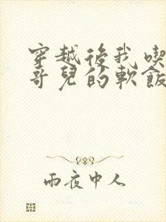 穿越后我吃到了哥儿的软饭炉山灰