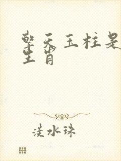 擎天玉柱是什么生肖