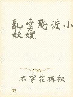 乱云飞渡小说之姣嫂