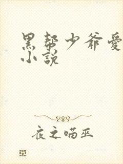 黑帮少爷爱上我小说