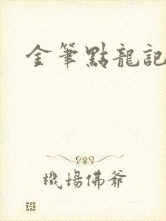 金笔点龙记