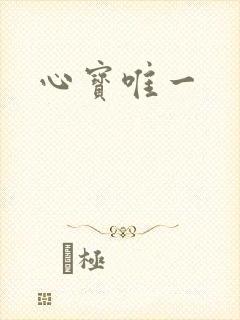 心宝唯一