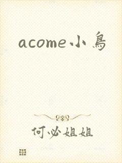 acome小鸟
