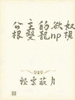 公主的欲奴h四根双龙np视频