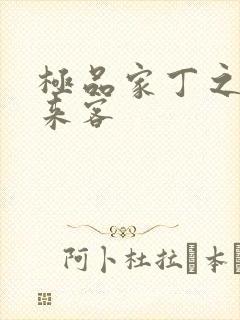 极品家丁之远方来客