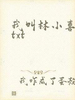 我叫林小喜小说txt