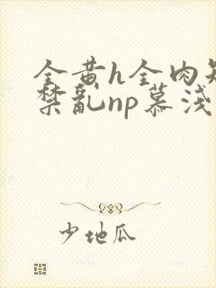 全黄h全肉短篇禁乱np慕浅浅