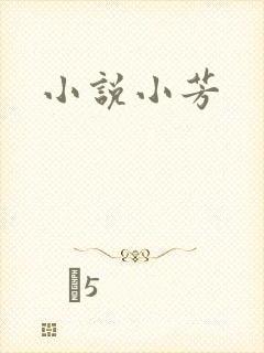 小说小芳