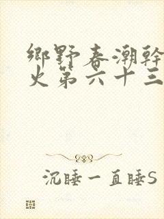 乡野春潮干柴烈火第六十三章