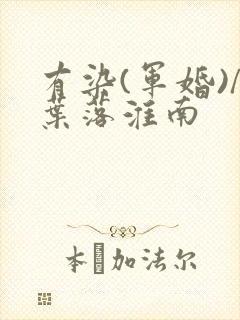 有染(军婚)/叶落淮南