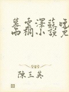 慕云泽苏晚晴夏雨桐小说免费阅读