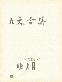 h文合集