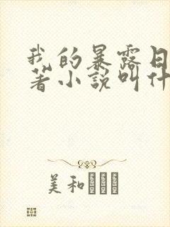 我的暴露日记原著小说叫什么