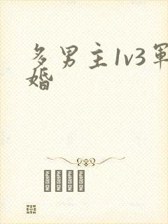 多男主1v3军婚