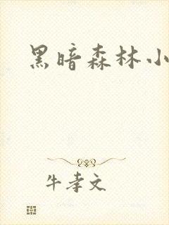 黑暗森林小说