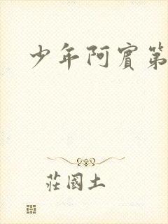 少年阿宾第二部