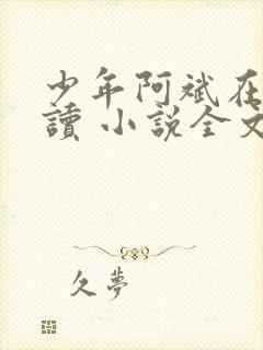 少年阿斌在线阅读 小说全文免费